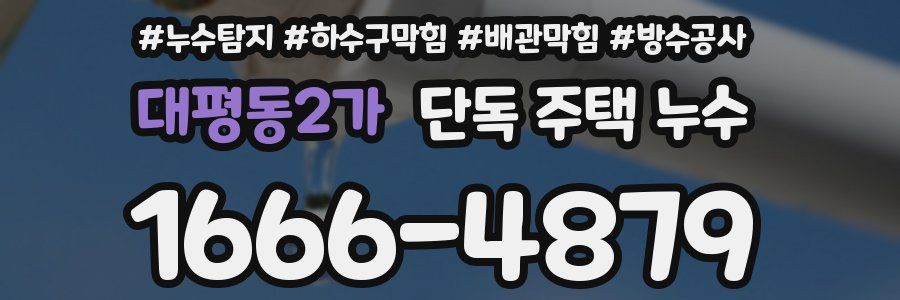 대평동2가 단독 주택 누수