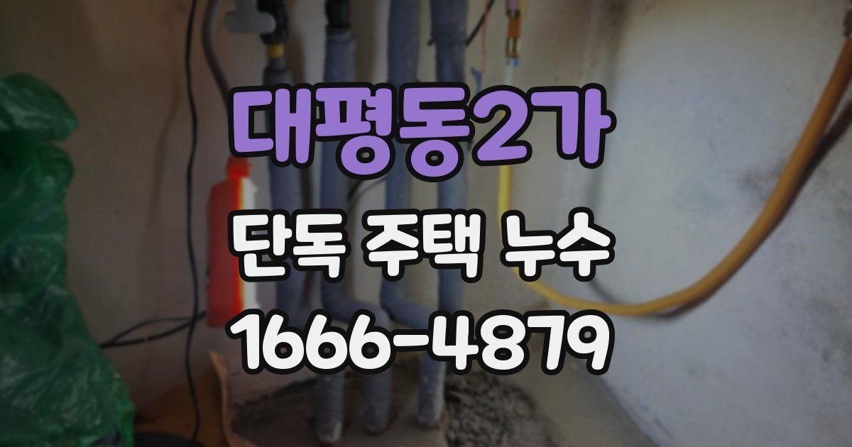 대평동2가 단독 주택 누수