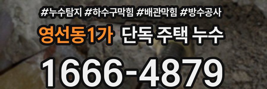 영선동1가 단독 주택 누수