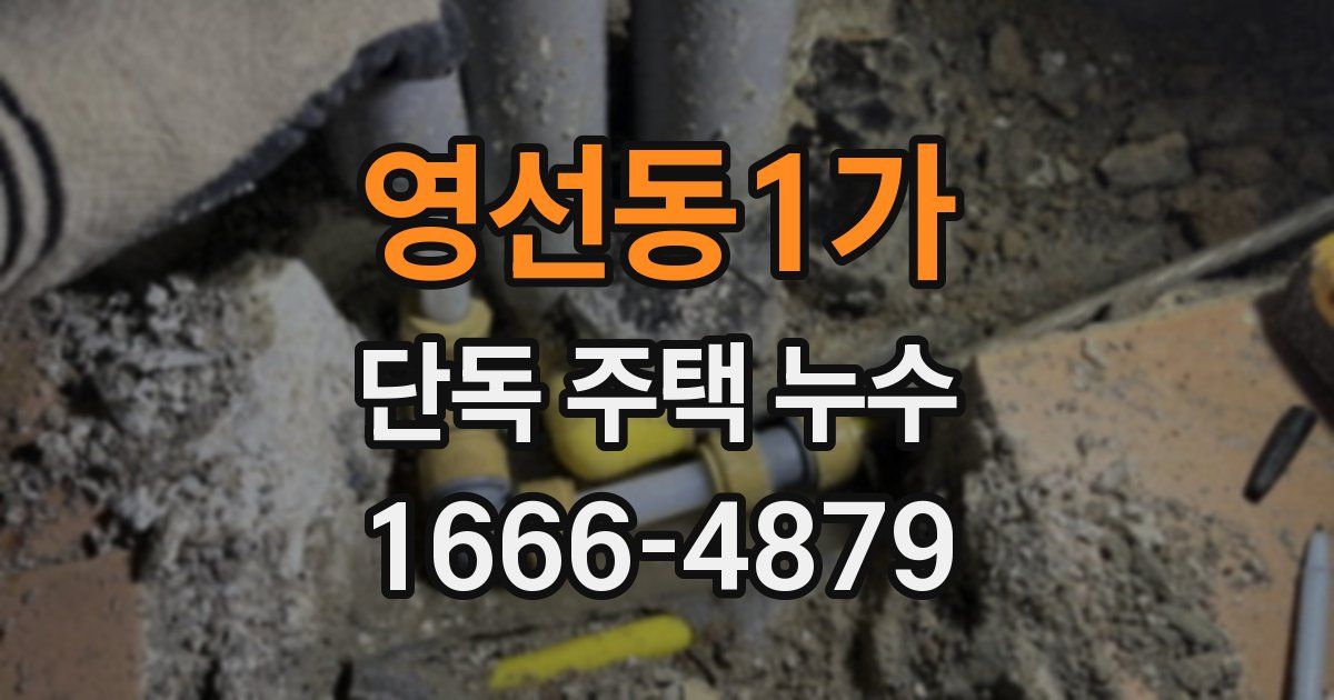 영선동1가 단독 주택 누수