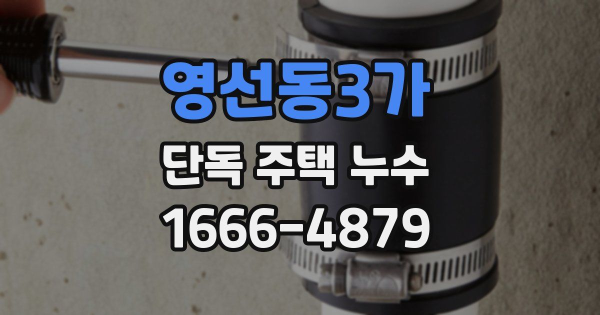 영선동3가 단독 주택 누수