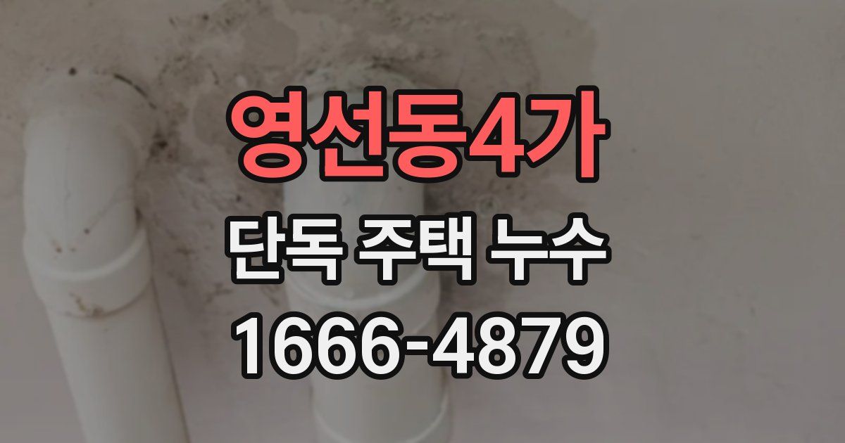 영선동4가 단독 주택 누수