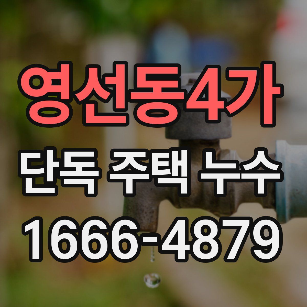 영선동4가 단독 주택 누수
