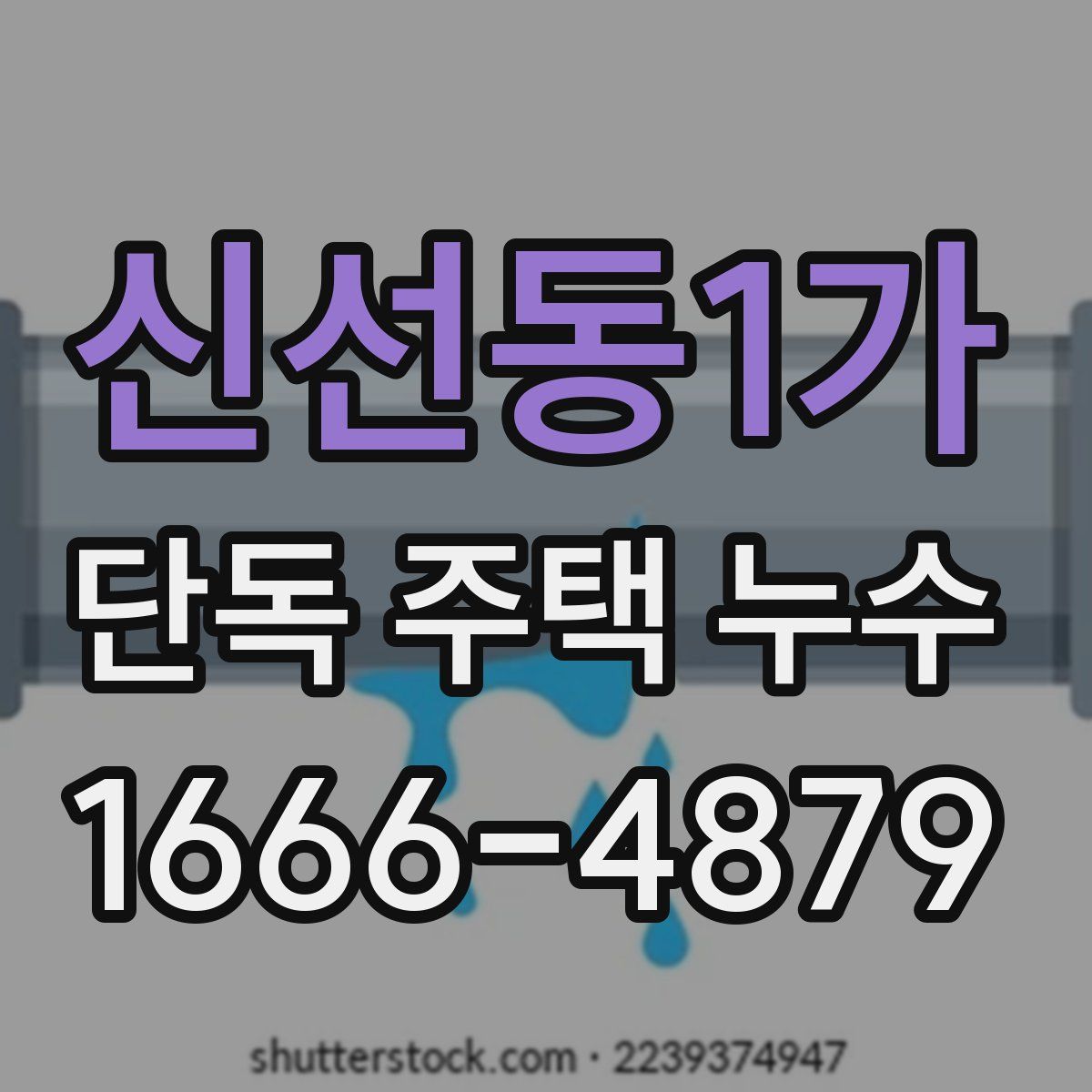 신선동1가 단독 주택 누수