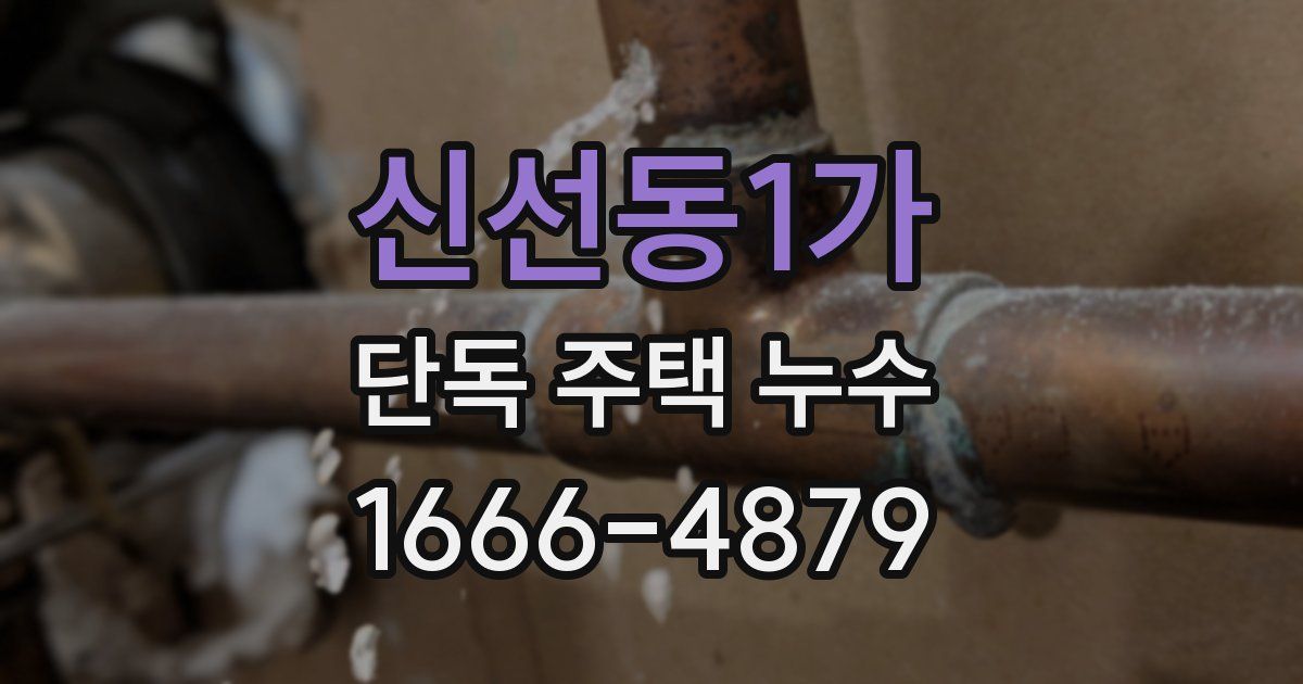 신선동1가 단독 주택 누수
