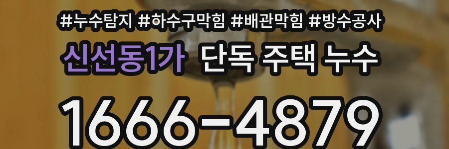 신선동1가 단독 주택 누수