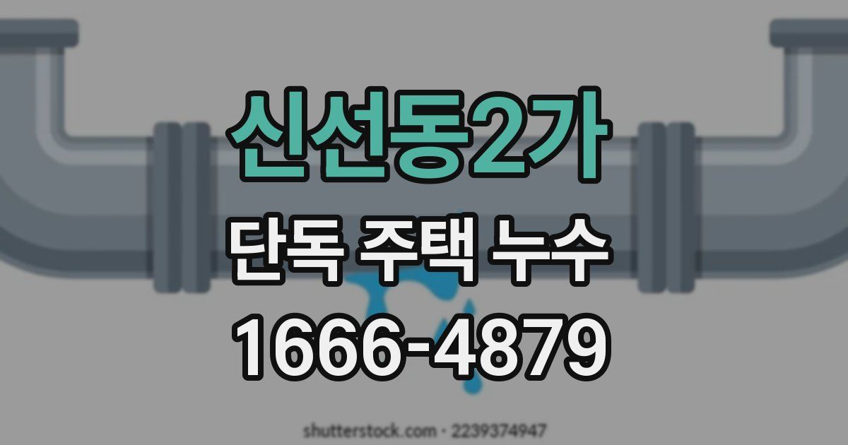 신선동2가 단독 주택 누수