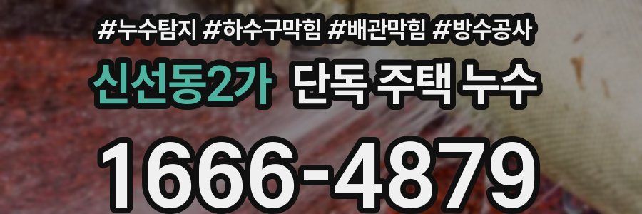 신선동2가 단독 주택 누수