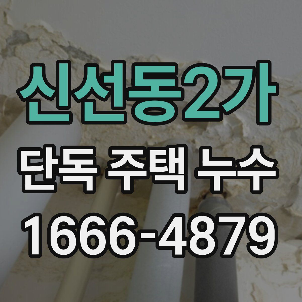 신선동2가 단독 주택 누수