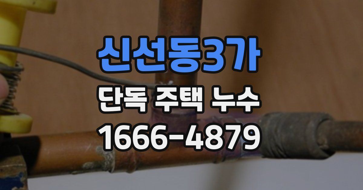 신선동3가 단독 주택 누수