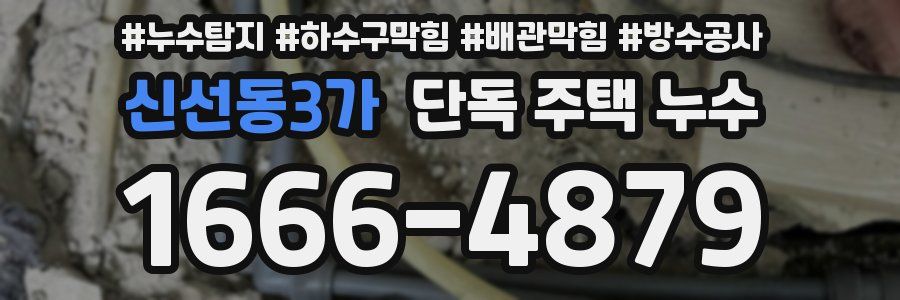 신선동3가 단독 주택 누수