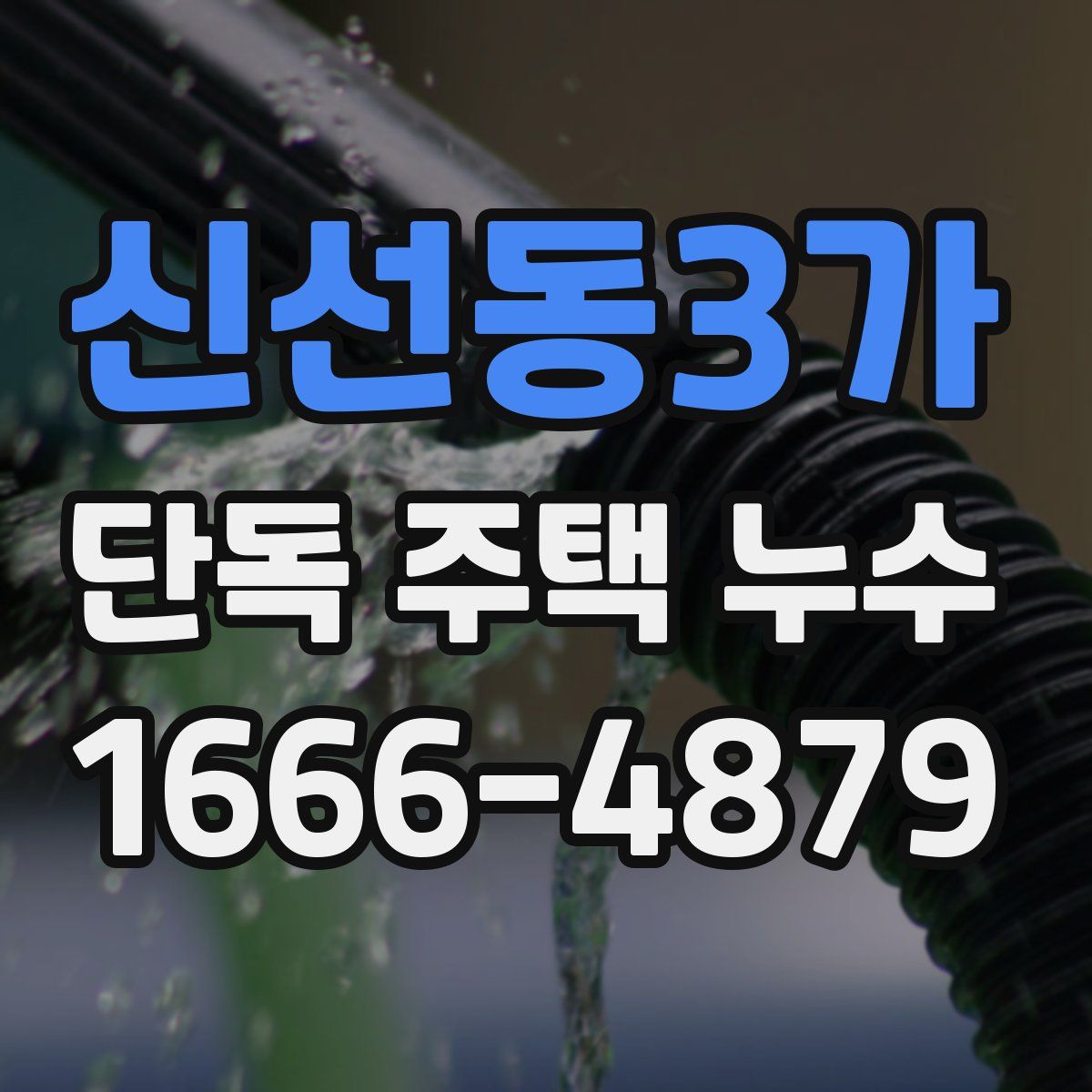 신선동3가 단독 주택 누수