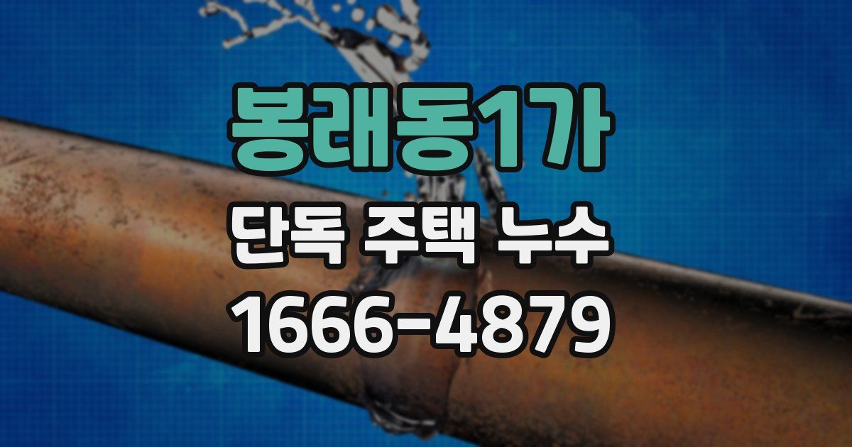 봉래동1가 단독 주택 누수