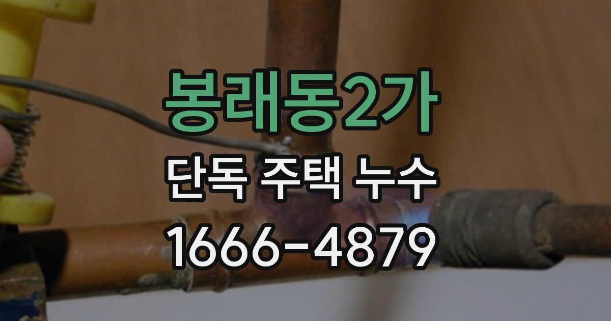 봉래동2가 단독 주택 누수