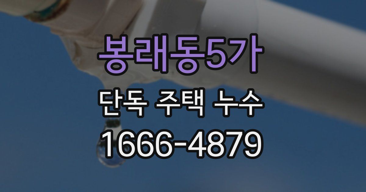 봉래동5가 단독 주택 누수