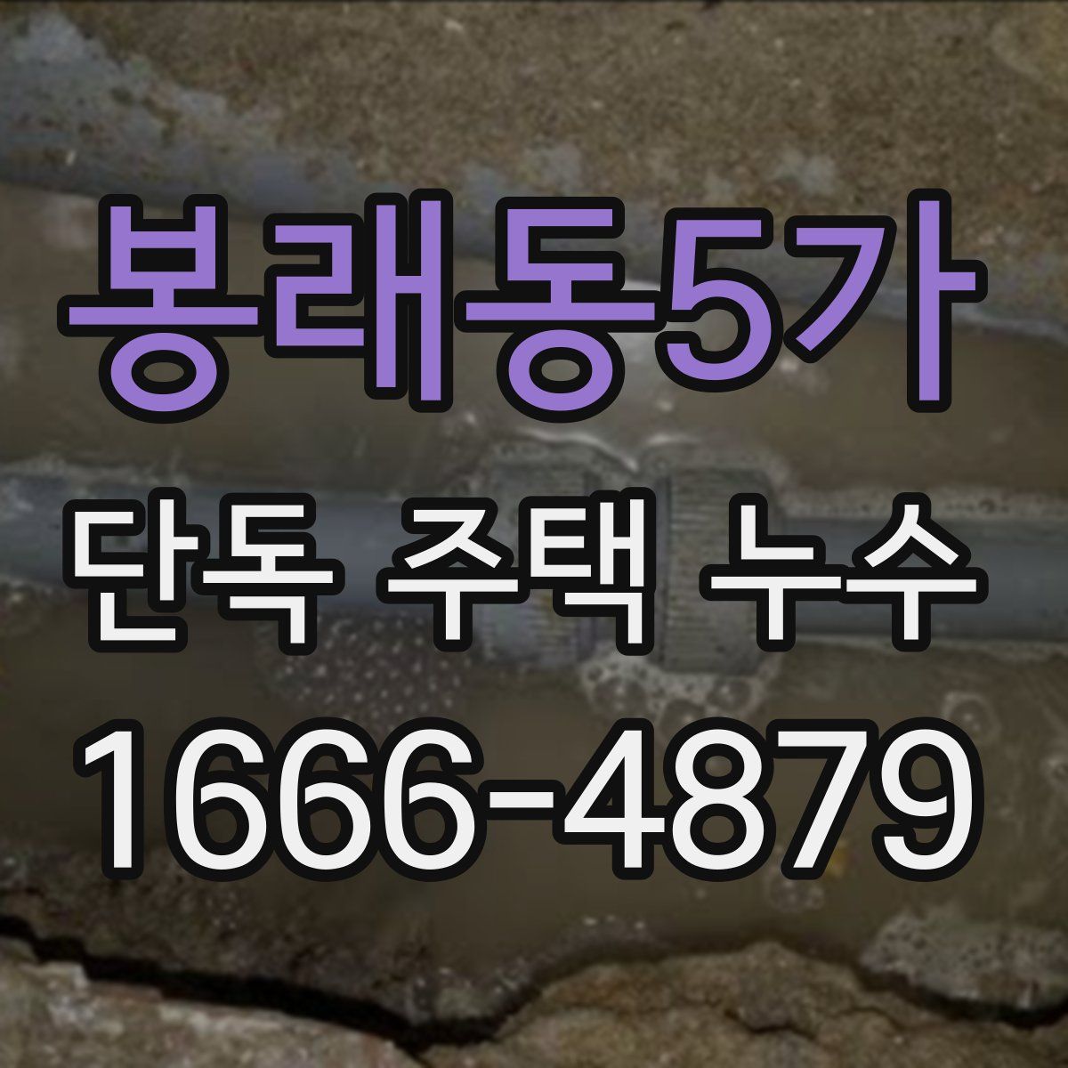 봉래동5가 단독 주택 누수