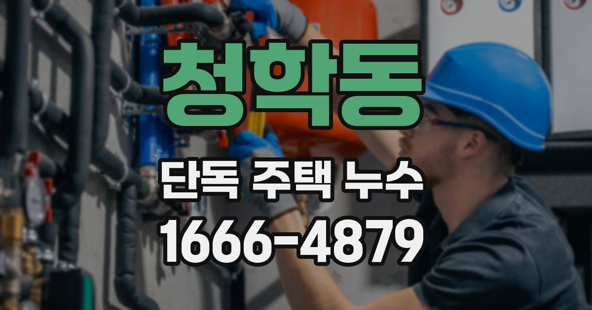 청학동 단독 주택 누수