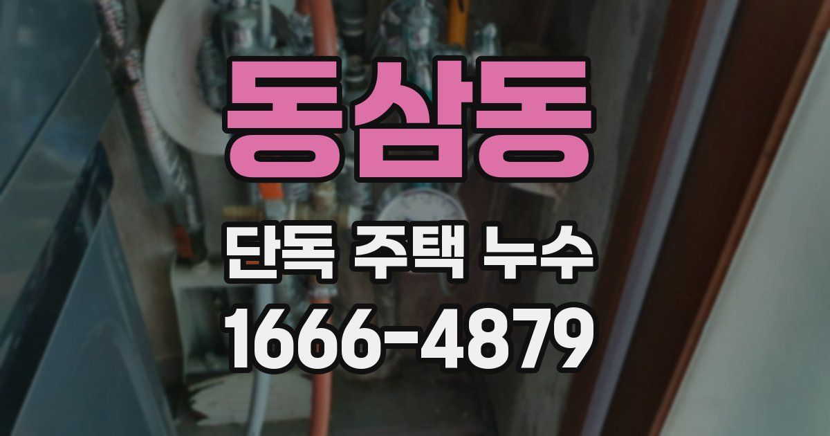 동삼동 단독 주택 누수