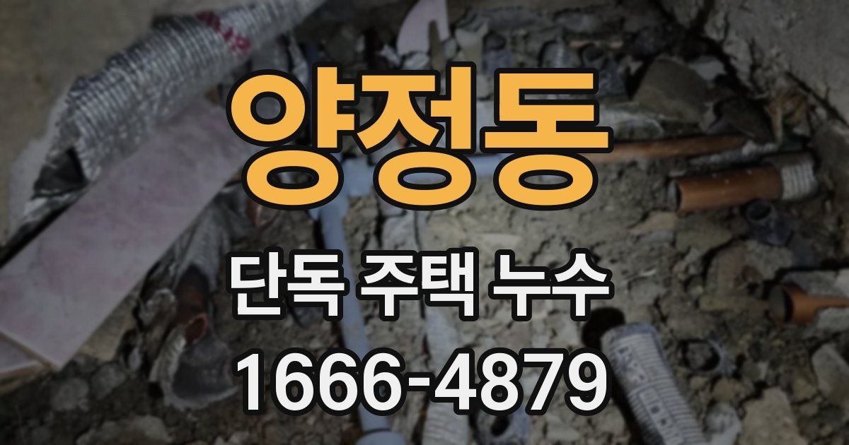 양정동 단독 주택 누수