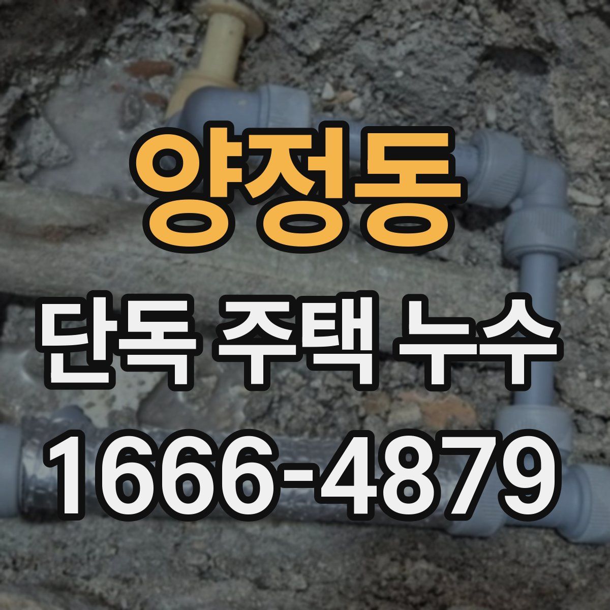 양정동 단독 주택 누수