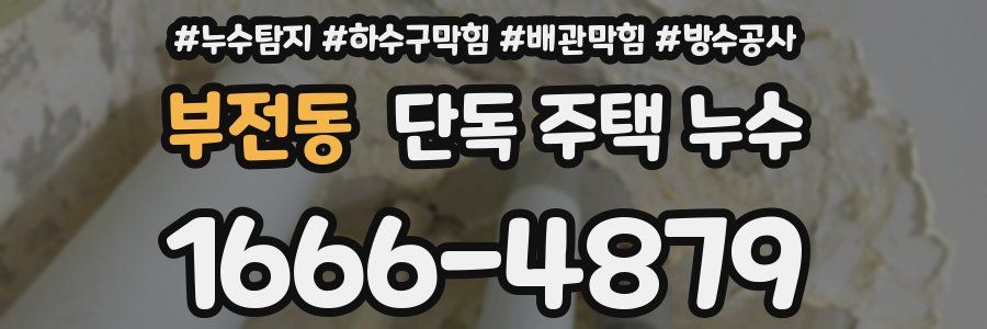 부전동 단독 주택 누수