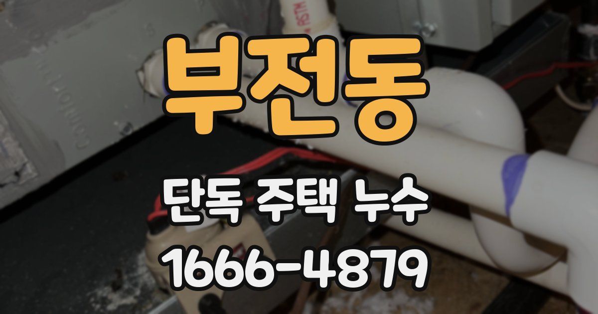 부전동 단독 주택 누수