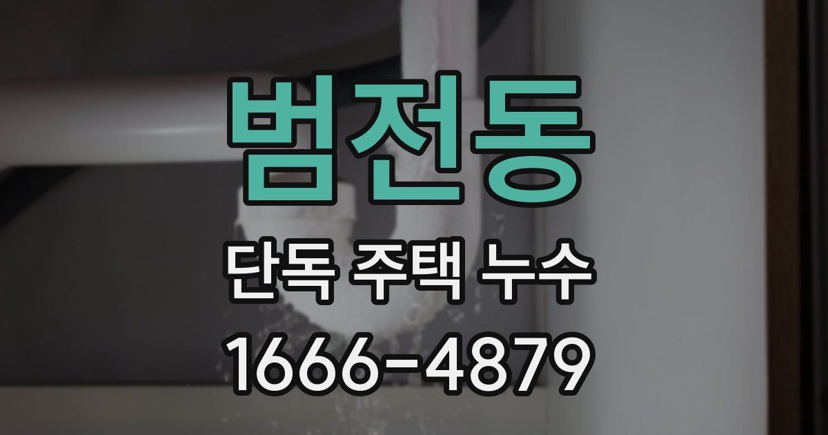 범전동 단독 주택 누수
