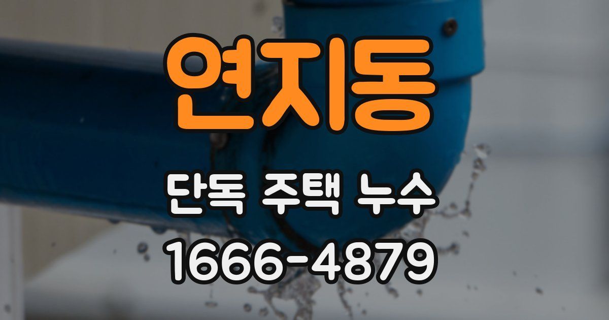 연지동 단독 주택 누수