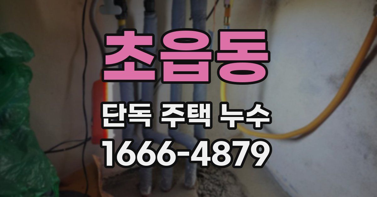 초읍동 단독 주택 누수