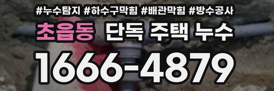 초읍동 단독 주택 누수