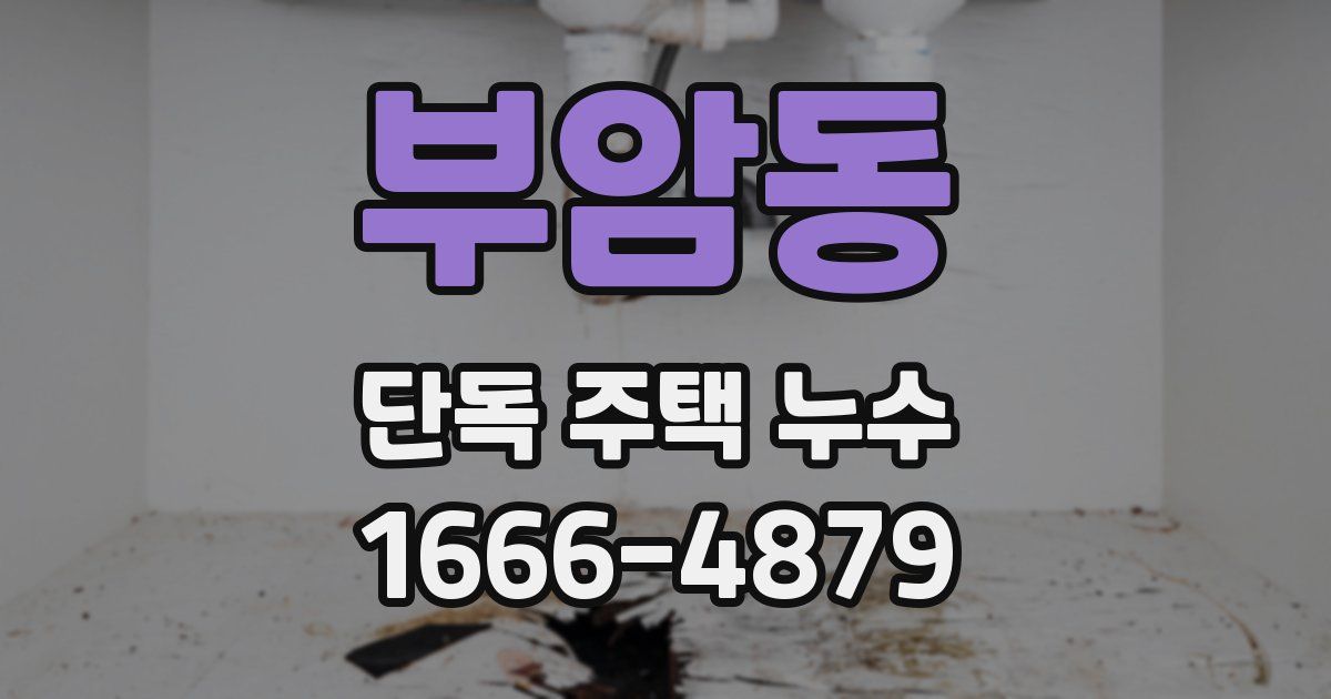 부암동 단독 주택 누수