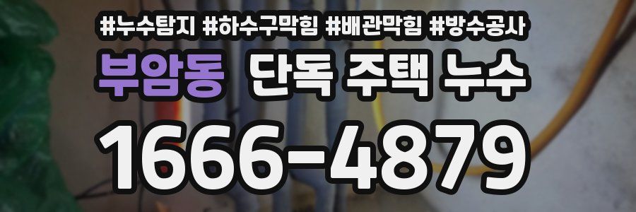 부암동 단독 주택 누수