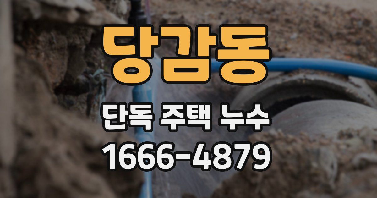 당감동 단독 주택 누수