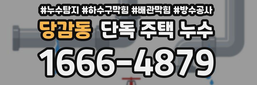 당감동 단독 주택 누수