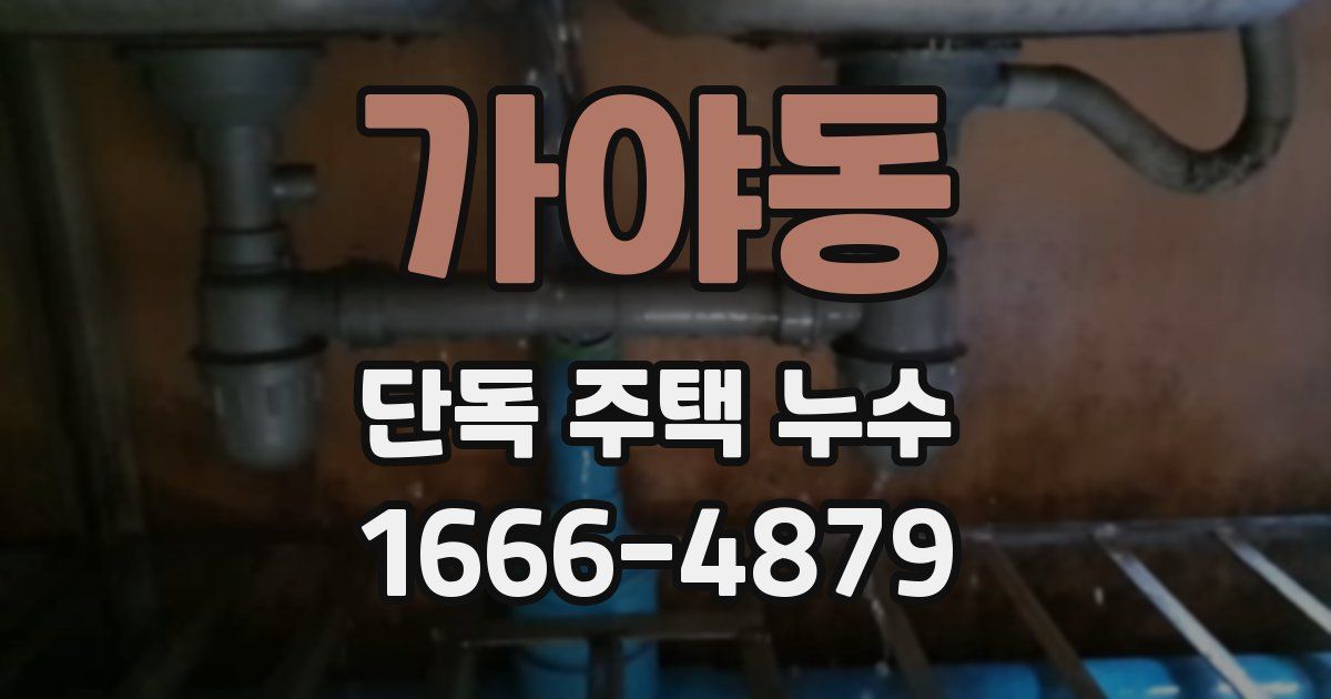 가야동 단독 주택 누수