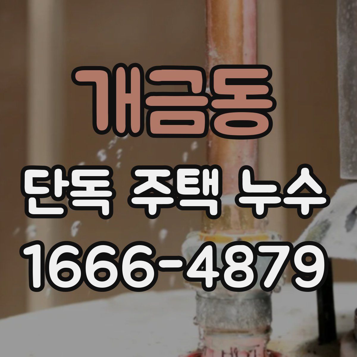 개금동 단독 주택 누수