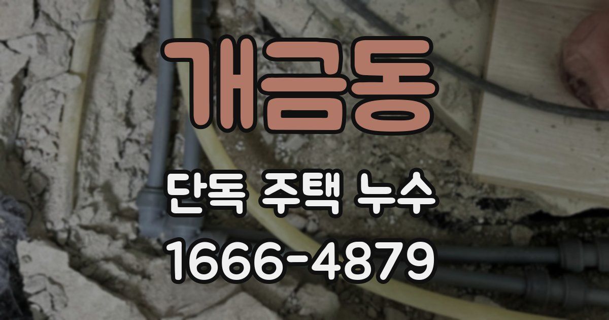 개금동 단독 주택 누수