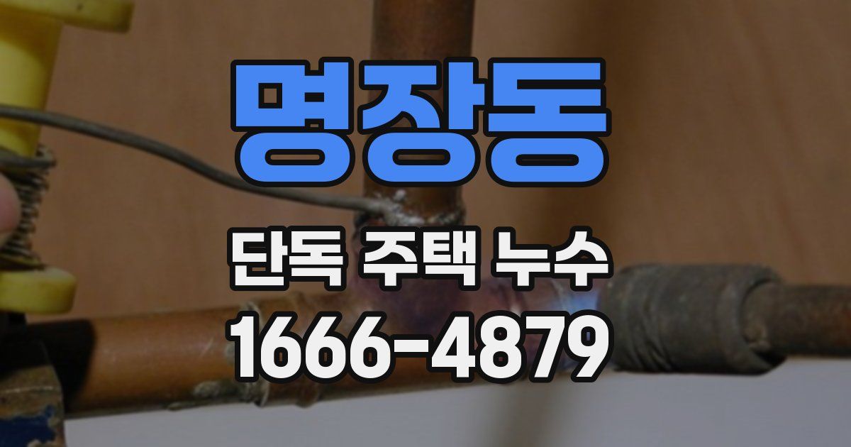 명장동 단독 주택 누수