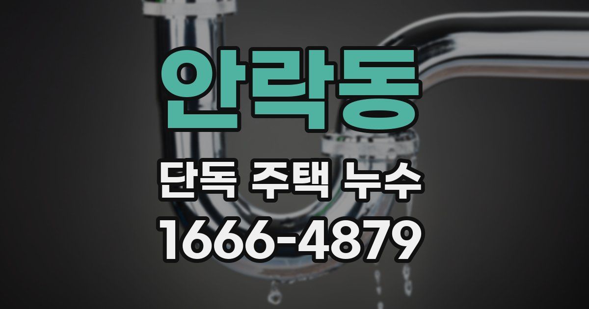 안락동 단독 주택 누수