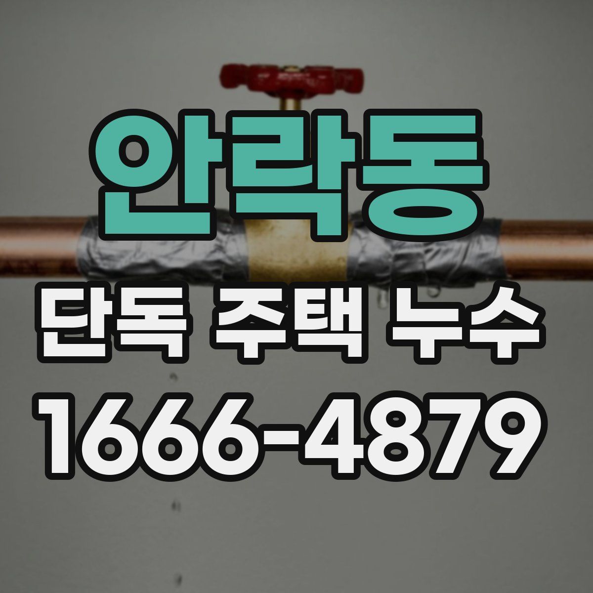 안락동 단독 주택 누수