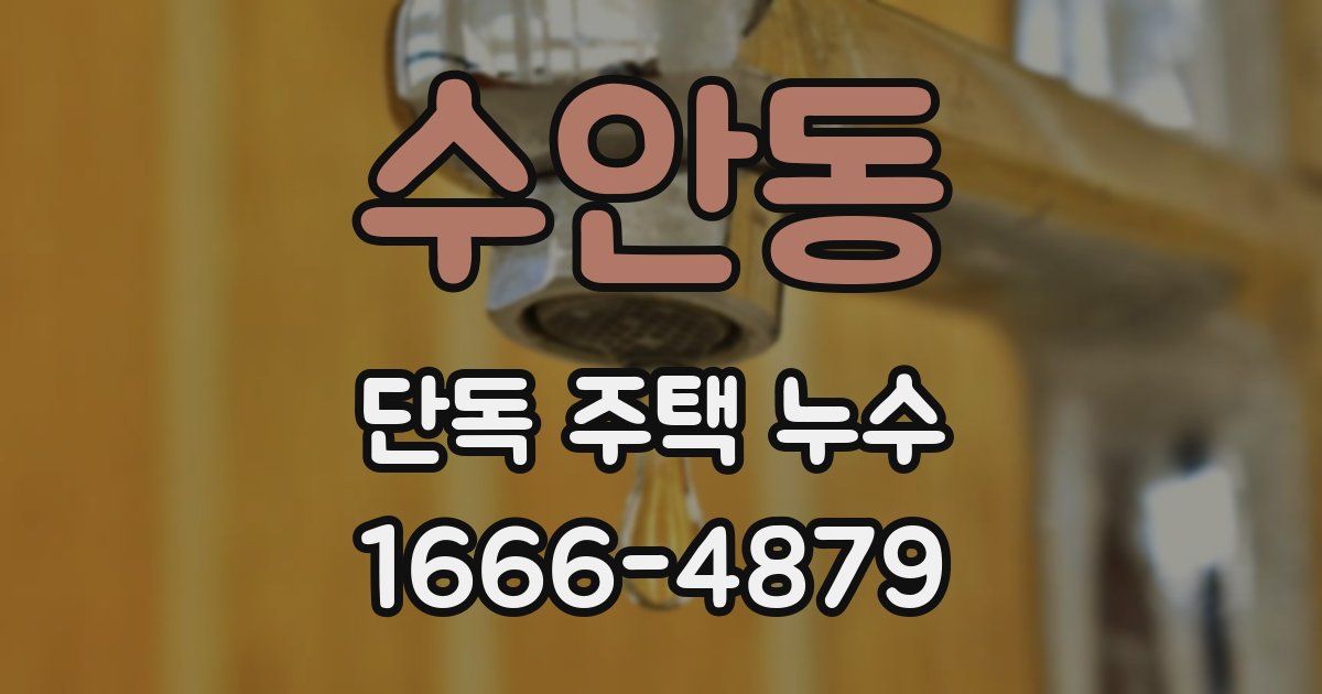 수안동 단독 주택 누수