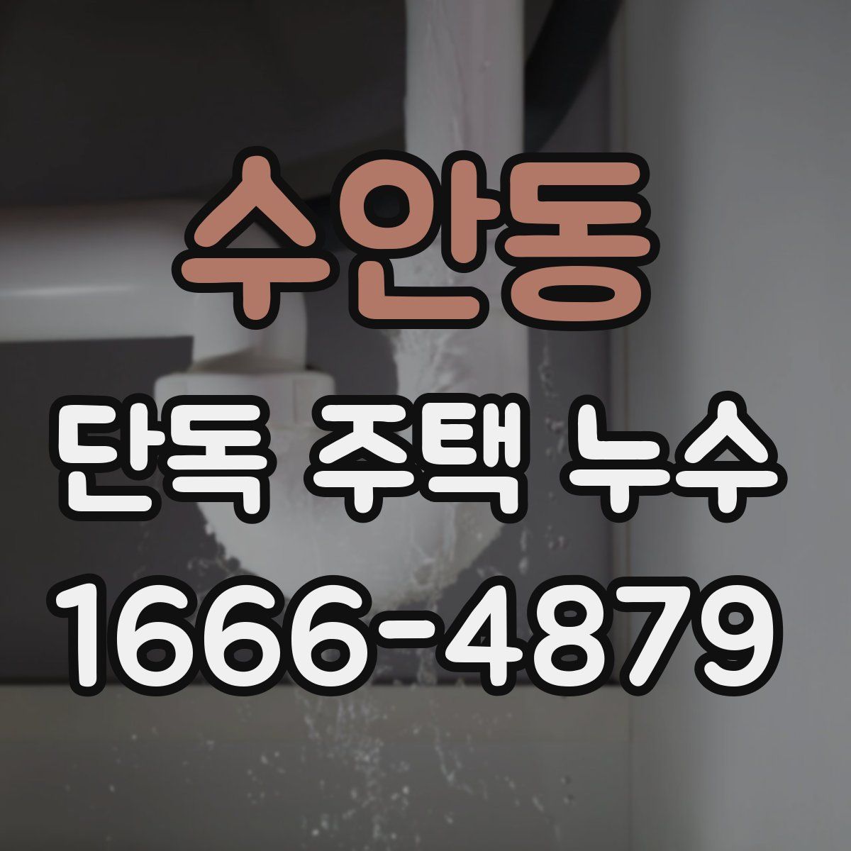 수안동 단독 주택 누수