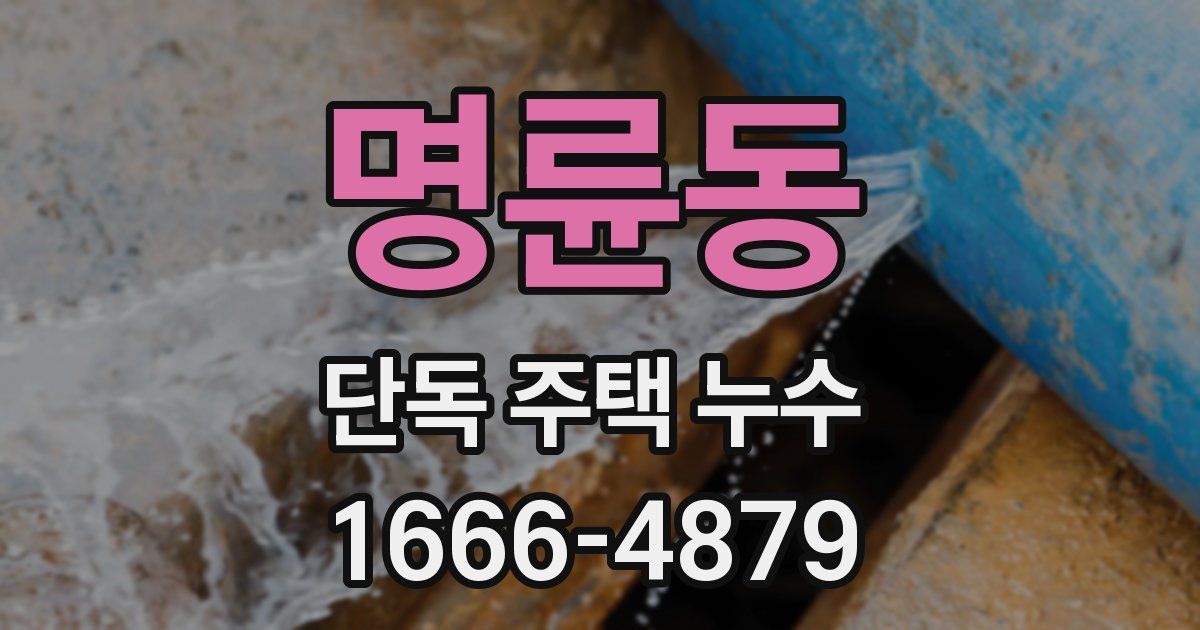명륜동 단독 주택 누수