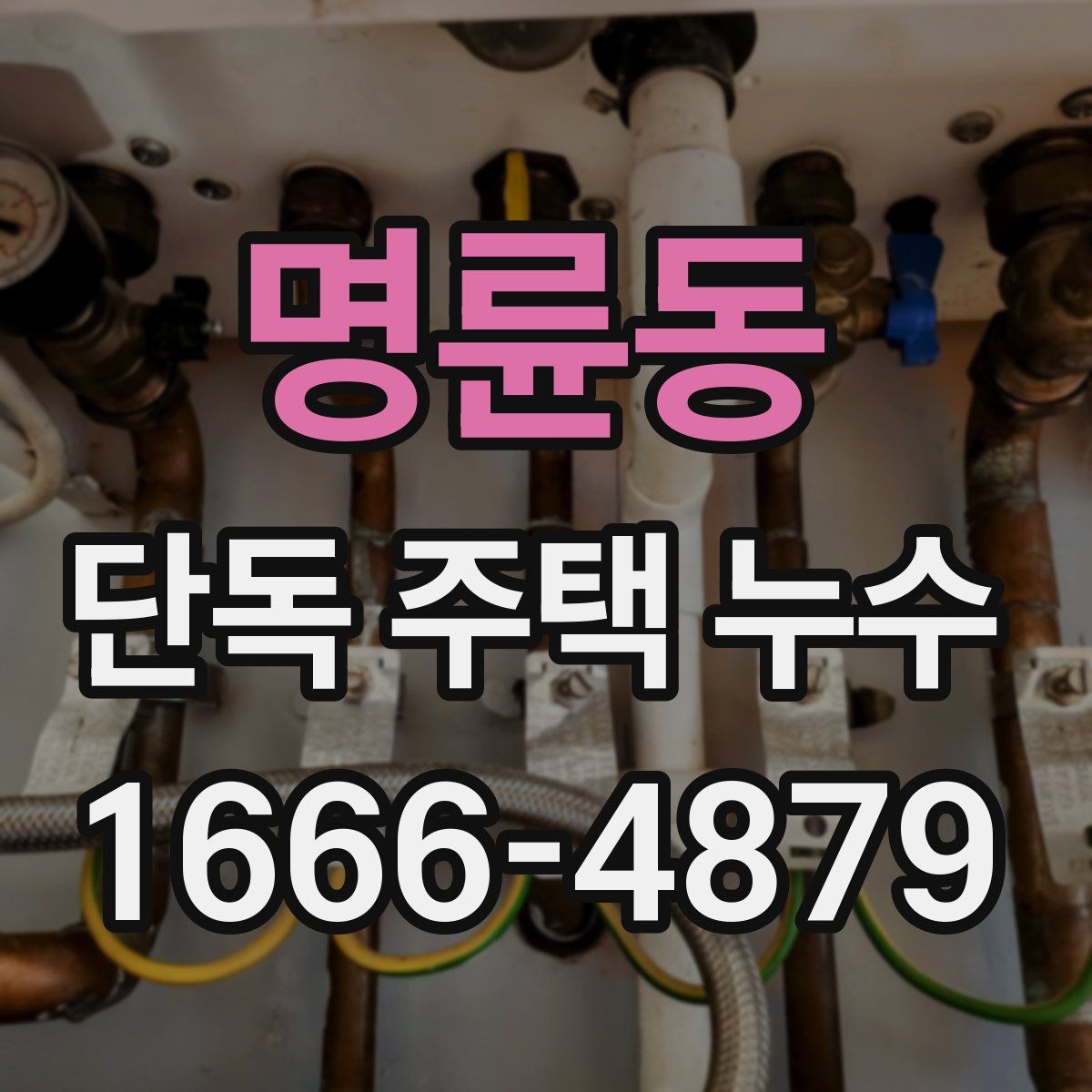 명륜동 단독 주택 누수