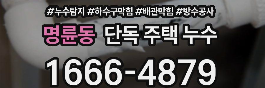 명륜동 단독 주택 누수