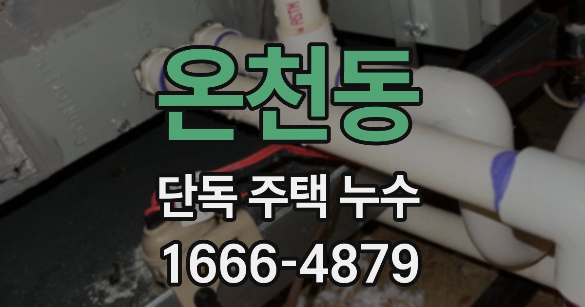 온천동 단독 주택 누수