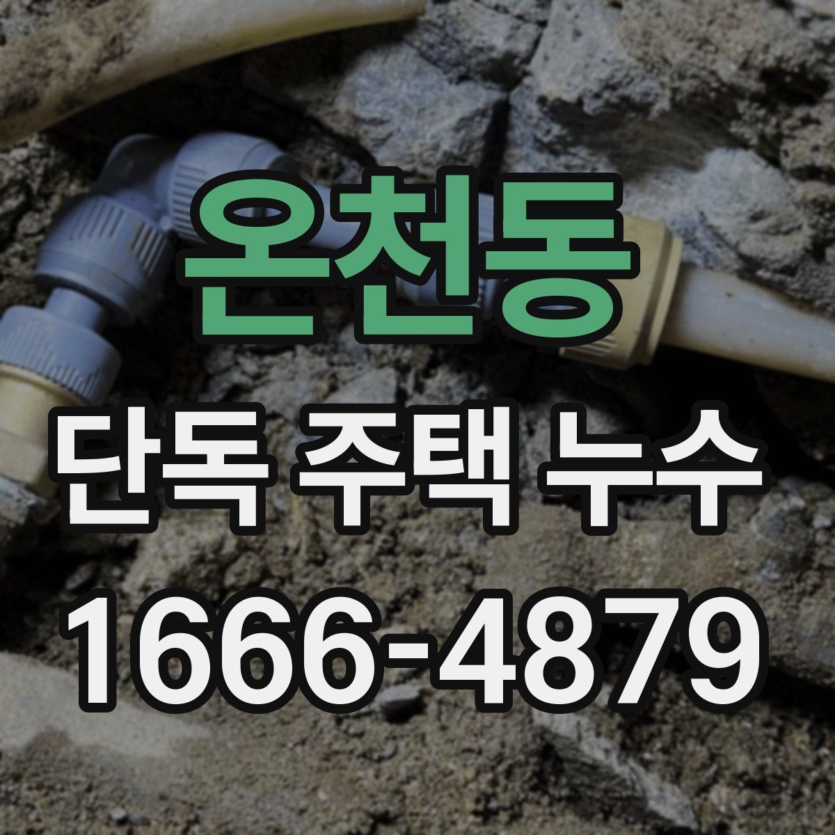 온천동 단독 주택 누수