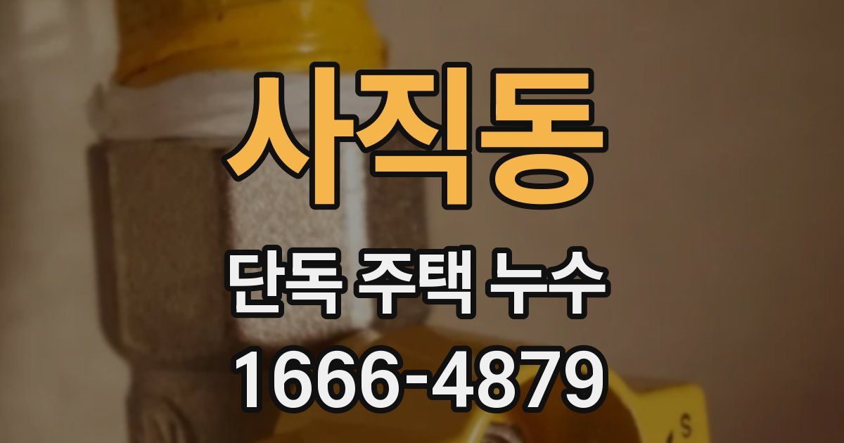 사직동 단독 주택 누수
