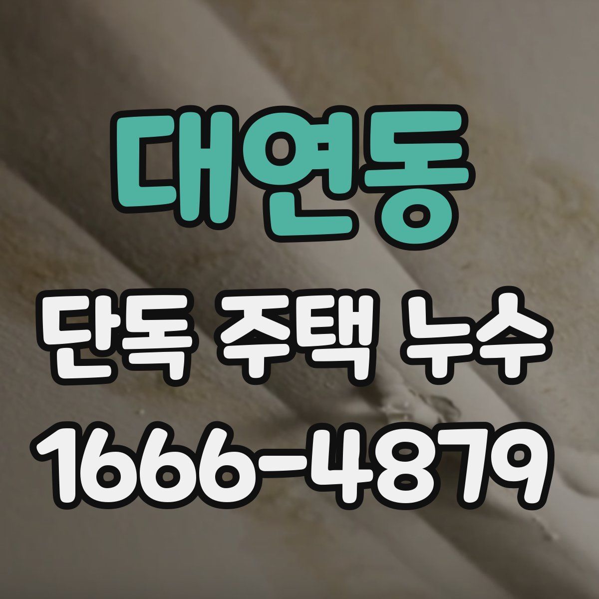 대연동 단독 주택 누수