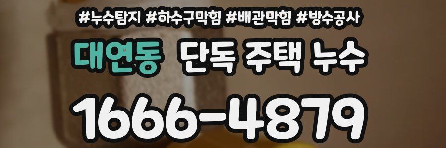 대연동 단독 주택 누수